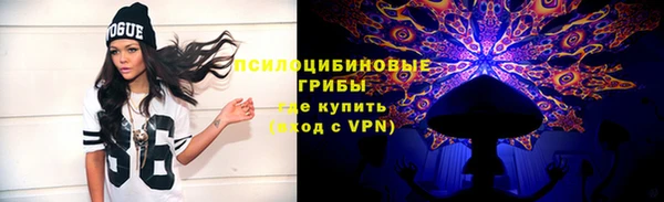 первитин Богданович