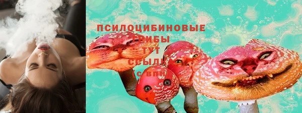 ешки Белокуриха