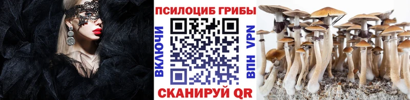 OMG онион Вельск Псилоцибиновые грибы GOLDEN TEACHER